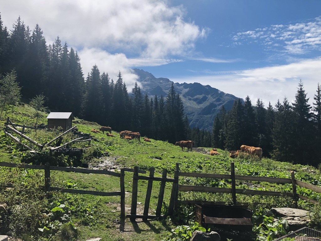 L'Aulp Bernard - Belledonne